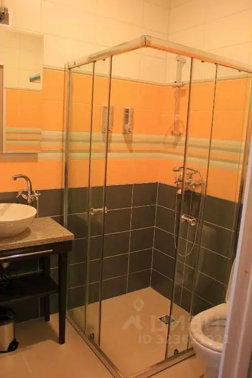 Комната Санкт-Петербург ул. Чехова, 2 (24.0 м) - Фото 2