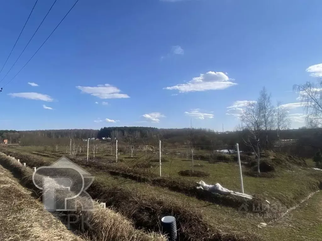 Участок в Московская область, Ступино городской округ, д. Рудины ул. ... - Фото 2