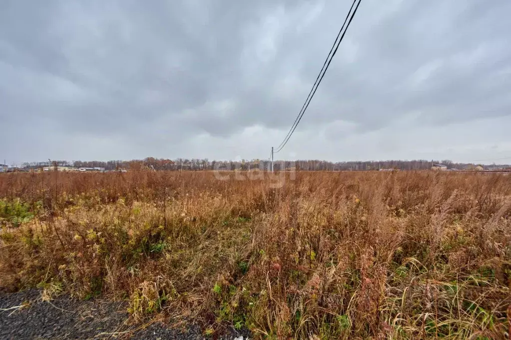 Участок в Хабаровский край, Хабаровск Жемчужная ул., 10 (10.0 сот.) - Фото 1