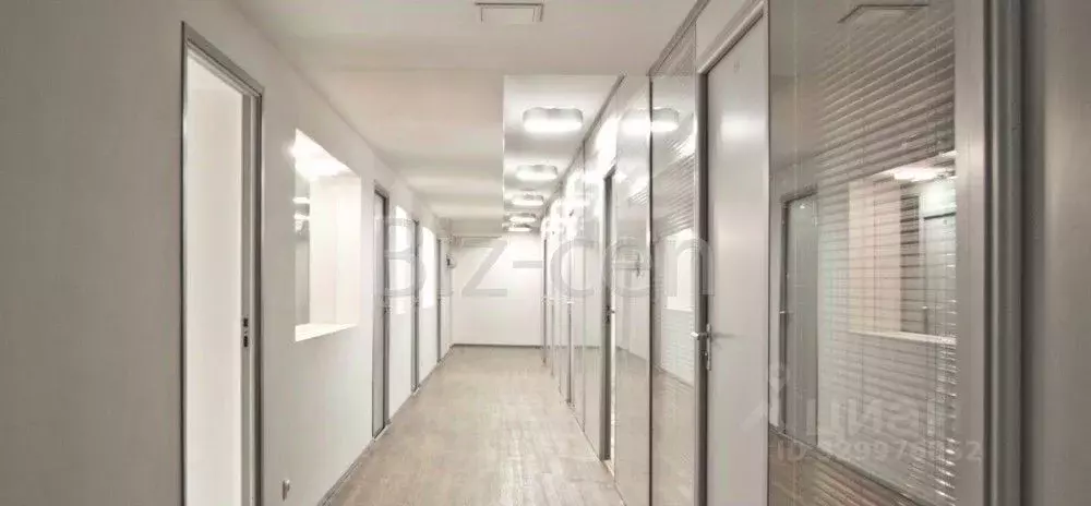 Офис в Санкт-Петербург ул. Чапаева, 3 (39 м) - Фото 1
