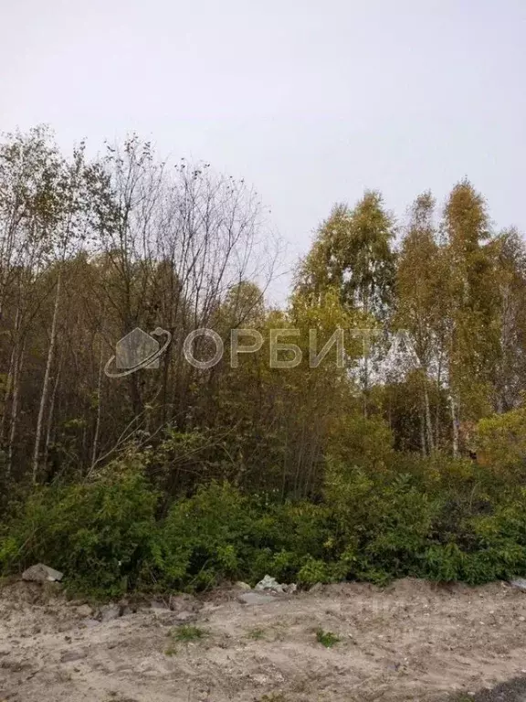 Участок в Тюменская область, Нижнетавдинский муниципальный округ, ... - Фото 2