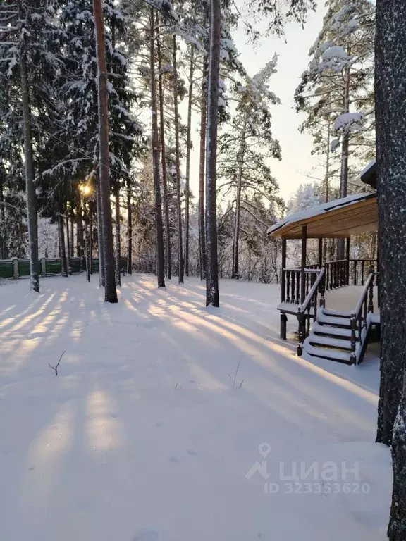 Дом в Ленинградская область, Гатчинский муниципальный округ, д. ... - Фото 1