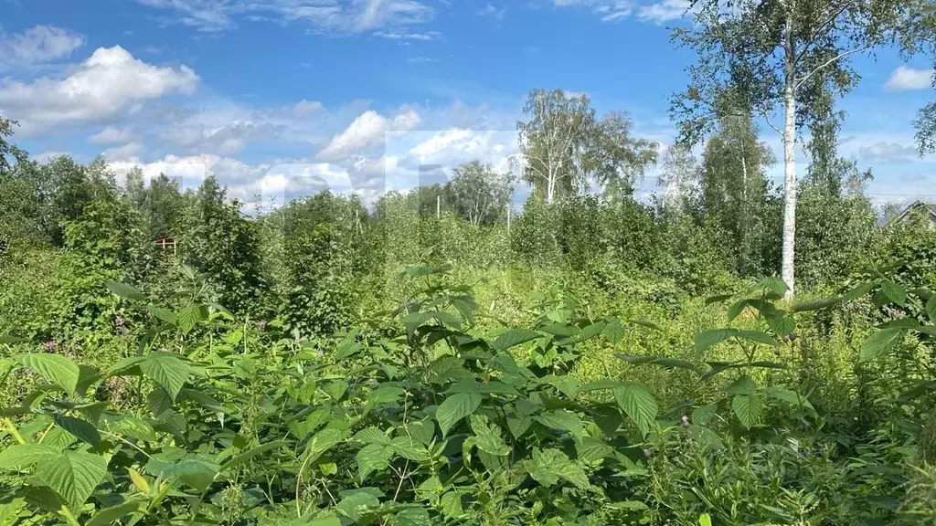 участок в свердловская область, екатеринбург полеводство кп, (13.0 . - Фото 0