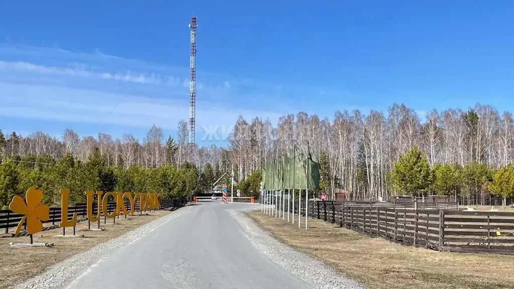 Участок в Новосибирская область, Новосибирский район, Кубовинский ... - Фото 0