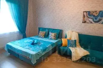 1-к кв. Московская область, Домодедово Южный мкр, ул. Курыжова, 13 ... - Фото 1