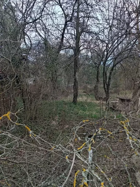 Участок в Белгородская область, Белгородский район, Ериковское с/пос, ... - Фото 2