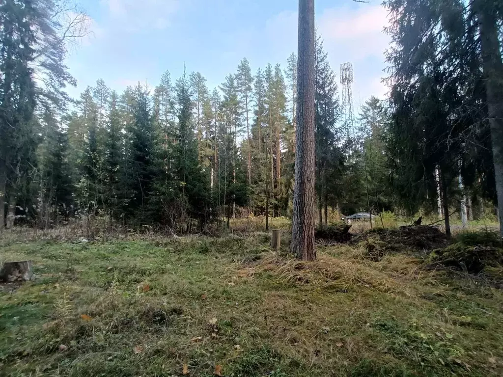 Участок в Ленинградская область, Гатчинский район, Вырица городской ... - Фото 1