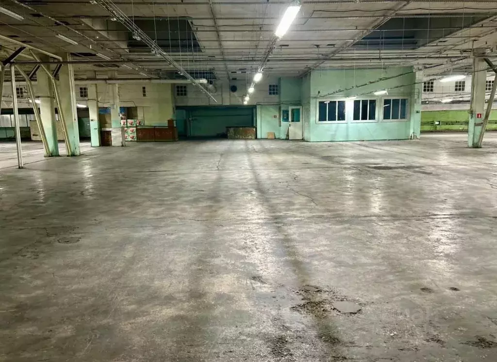 Помещение свободного назначения в Московская область, Чехов ул. ... - Фото 2