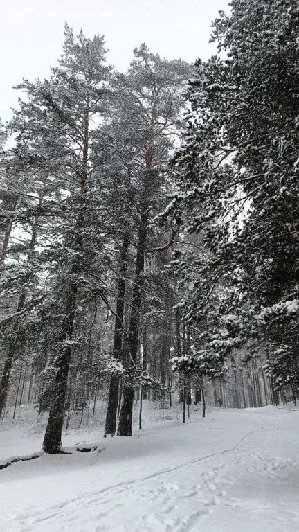 Участок в деревня Ягодное, 1-й Школьный проезд (10 м) - Фото 2