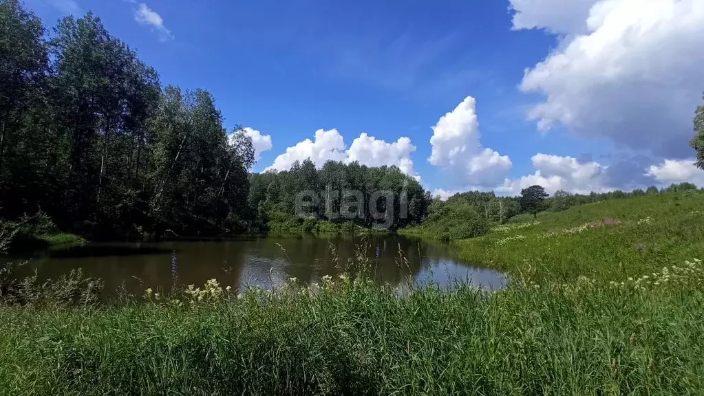 Участок в Новосибирская область, Новосибирский район, Барышевский ... - Фото 1