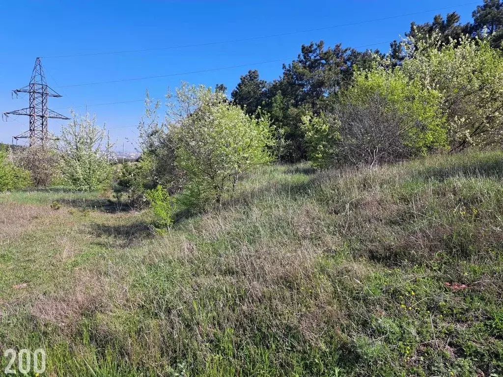 Село каштановое крым. Дружное (крым). Участок симферопольский район ижс. Земельные в симферопольском районе. Очередь на земельный участок крым симферопольский район.