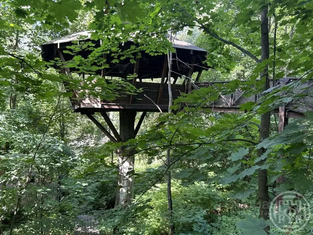 Участок в Санкт-Петербург пос. Парголово, Вокзальное ш., 6 (13.2 сот.) - Фото 1