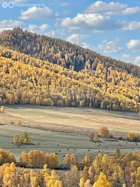 Участок в Шебалинский район, село Шебалино (5198.9 м) - Фото 0