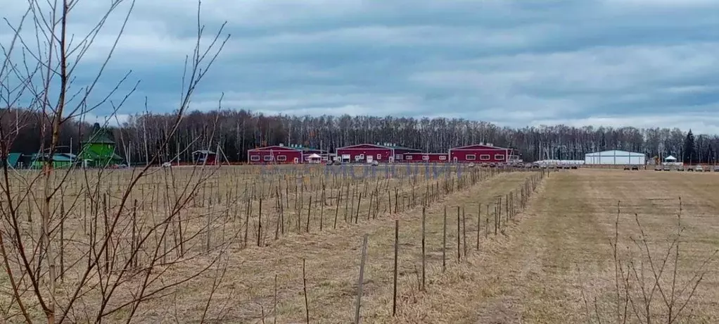 Участок в Нижегородская область, Городецкий муниципальный округ, д. ... - Фото 1