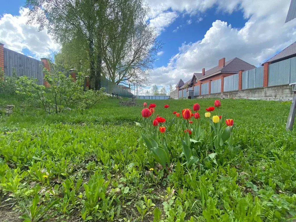 Участок в Московская область, Богородский городской округ, с. ... - Фото 2