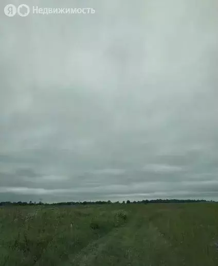 Участок в Ломоносовский район, Копорское сельское поселение, село ... - Фото 2