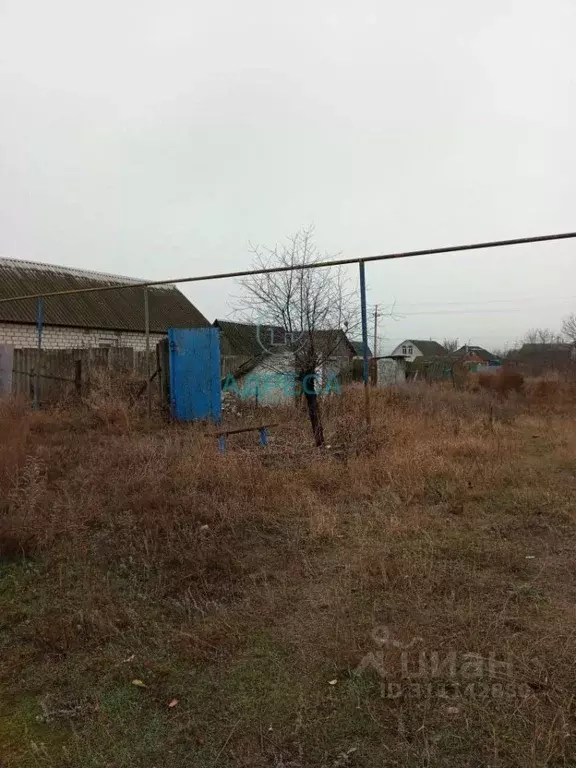 Участок в Белгородская область, Поселок Чернянка городское поселение, ... - Фото 2