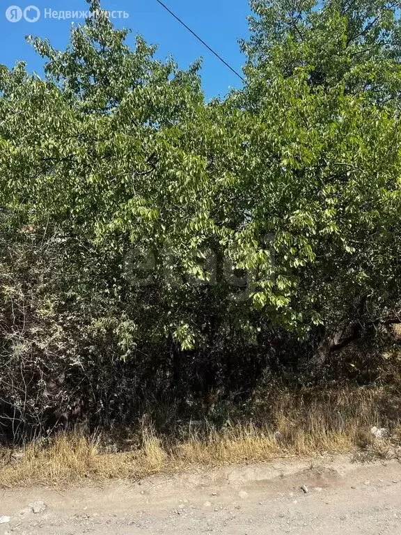 Участок в Новочеркасск, Ольховая улица (6.5 м) - Фото 1