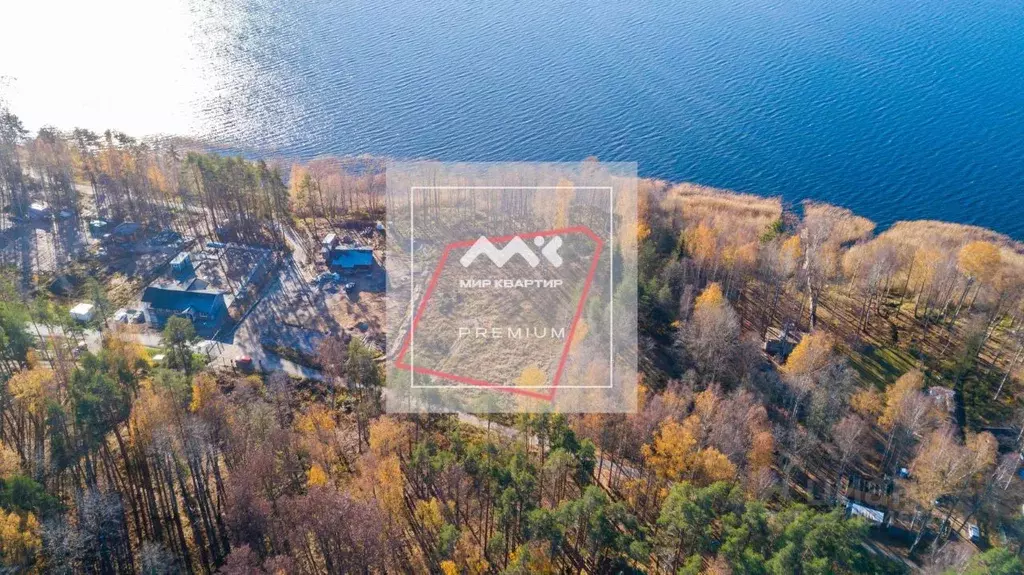 Участок в Ленинградская область, Выборгский район, Рощинское городское ... - Фото 1