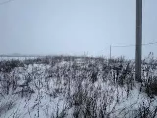 Участок в Белгородская область, Корочанский район, с. Погореловка, ... - Фото 1