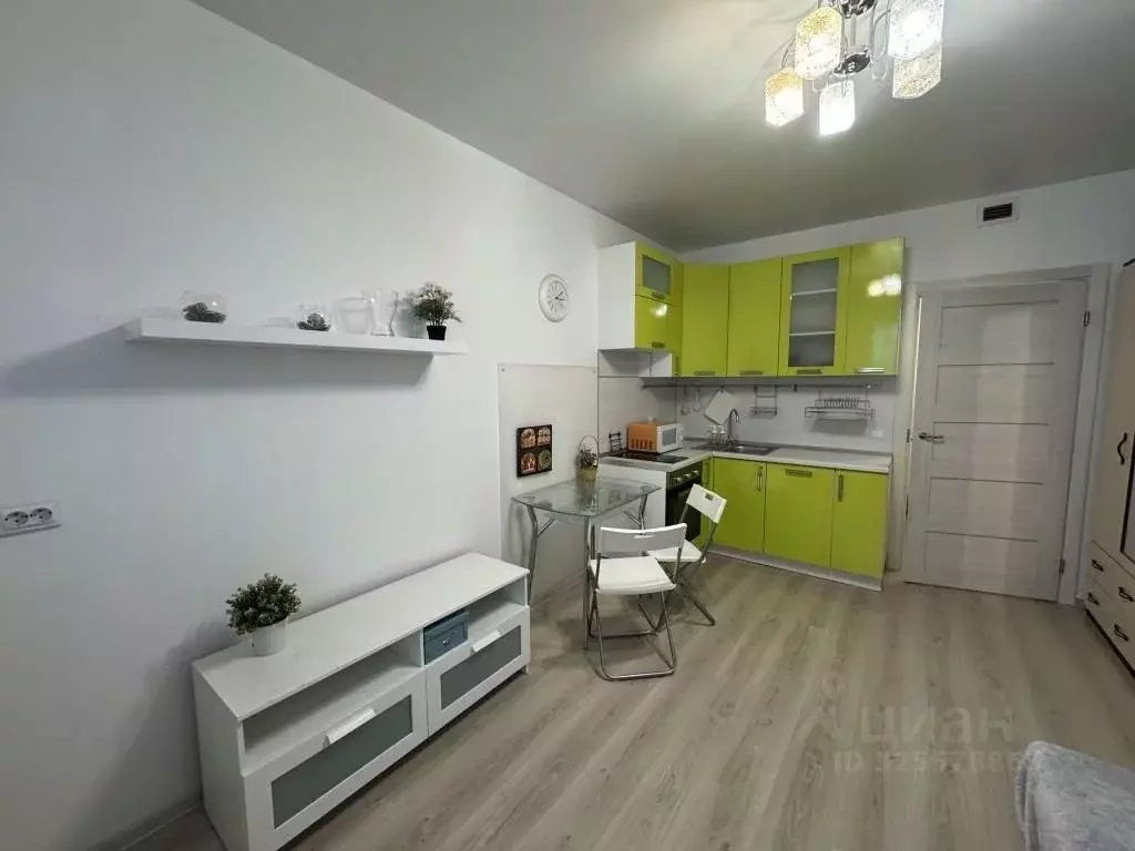 Студия Санкт-Петербург Парашютная ул., 42к2 (21.6 м) - Фото 1