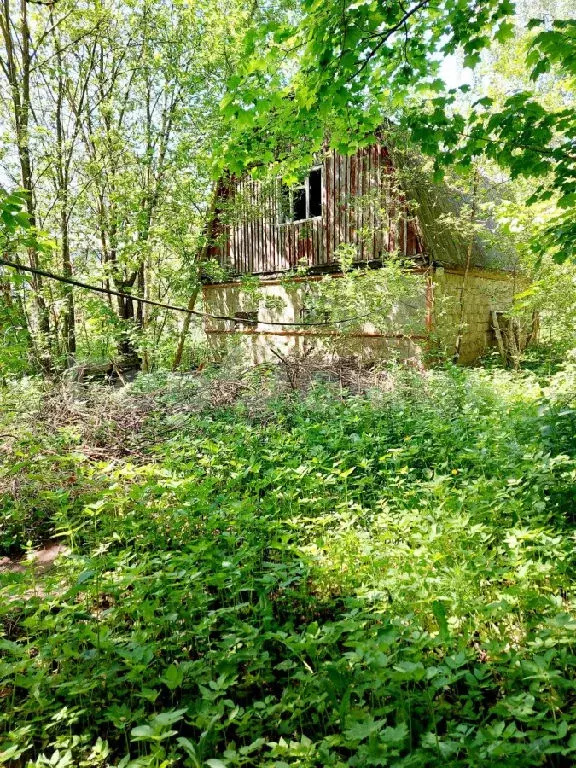 Продается дом в пгт Андреевка - Фото 2