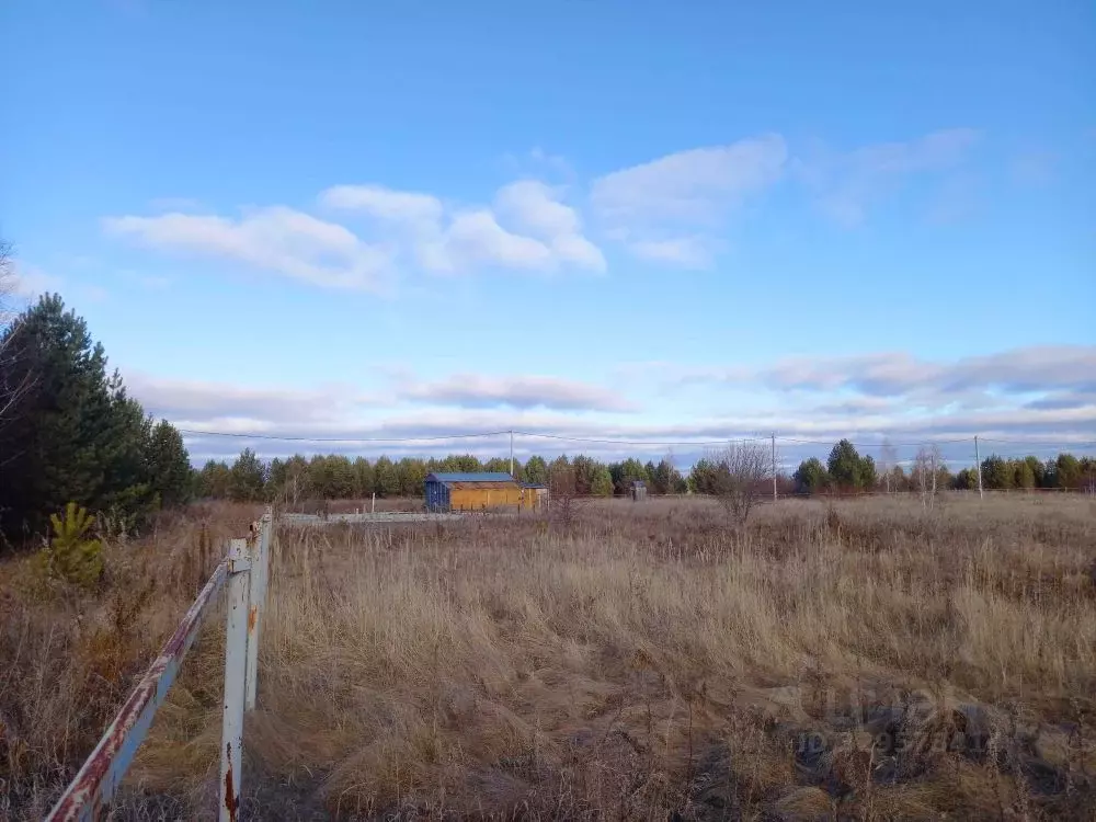 Участок в Челябинская область, Каслинский муниципальный округ, родовое ... - Фото 2