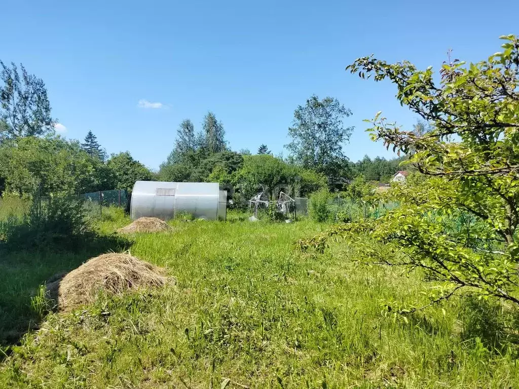 Участок в Санкт-Петербург, Санкт-Петербург, Павловск Славяночка СНТ, 6 ... - Фото 2