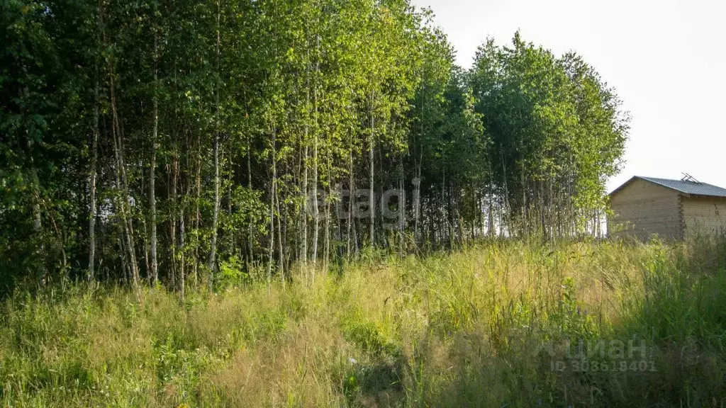 Участок в Томская область, Томский район, с. Корнилово, Красная горка ... - Фото 1