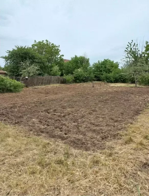 Участок в Волгоградская область, Волжский Заканалье СНТ, ул. 1-й ... - Фото 1