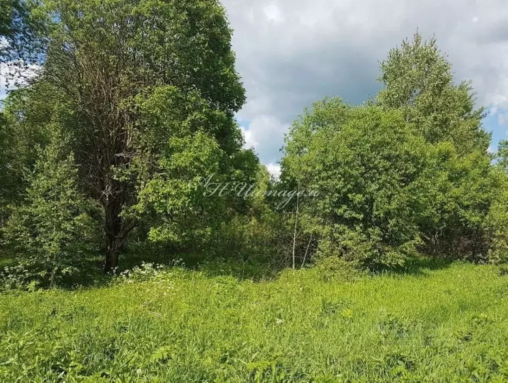 Участок в Московская область, Высоковск Клин городской округ, ул. ... - Фото 1