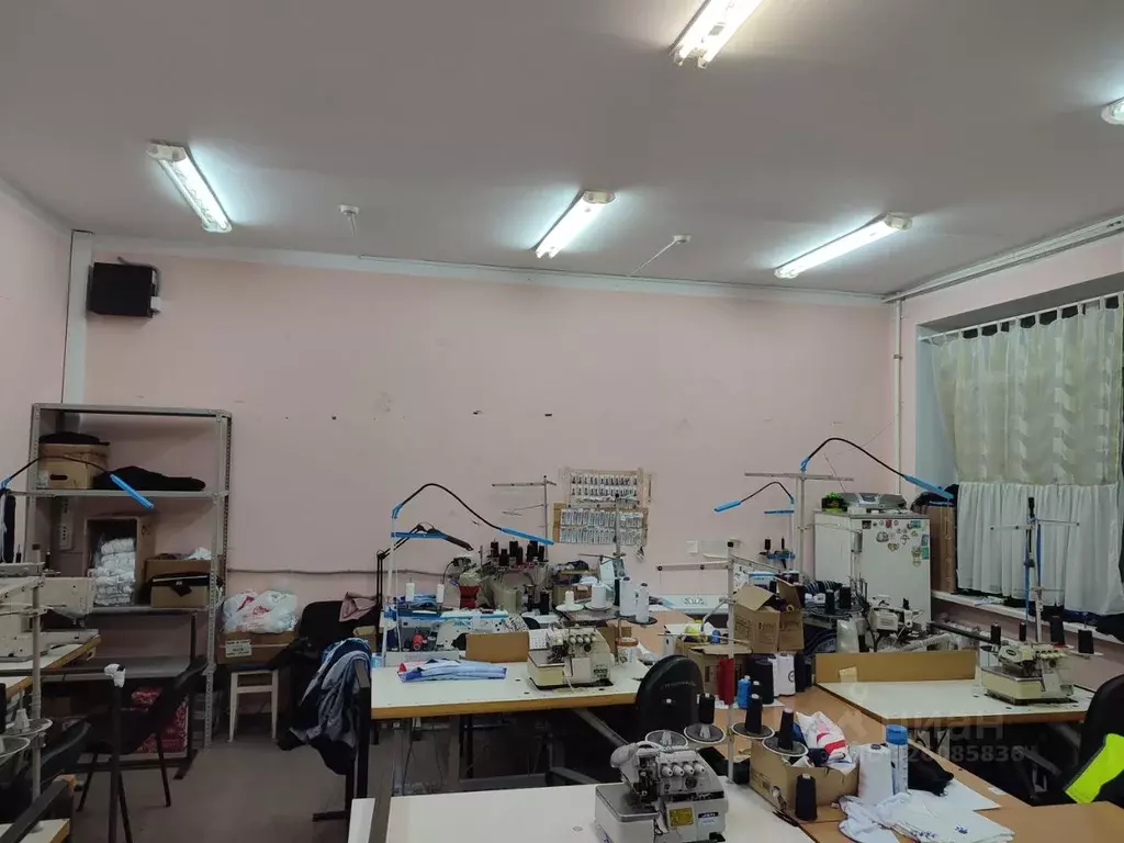 Помещение свободного назначения в Пензенская область, Пенза Окружная ... - Фото 2