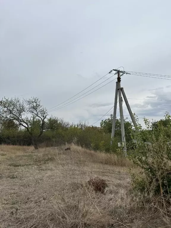 Участок в Ростовская область, Неклиновский район, с. Синявское ... - Фото 1