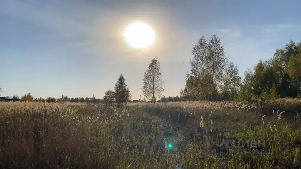 Участок в Московская область, Кашира городской округ, д. Никулино  ... - Фото 0