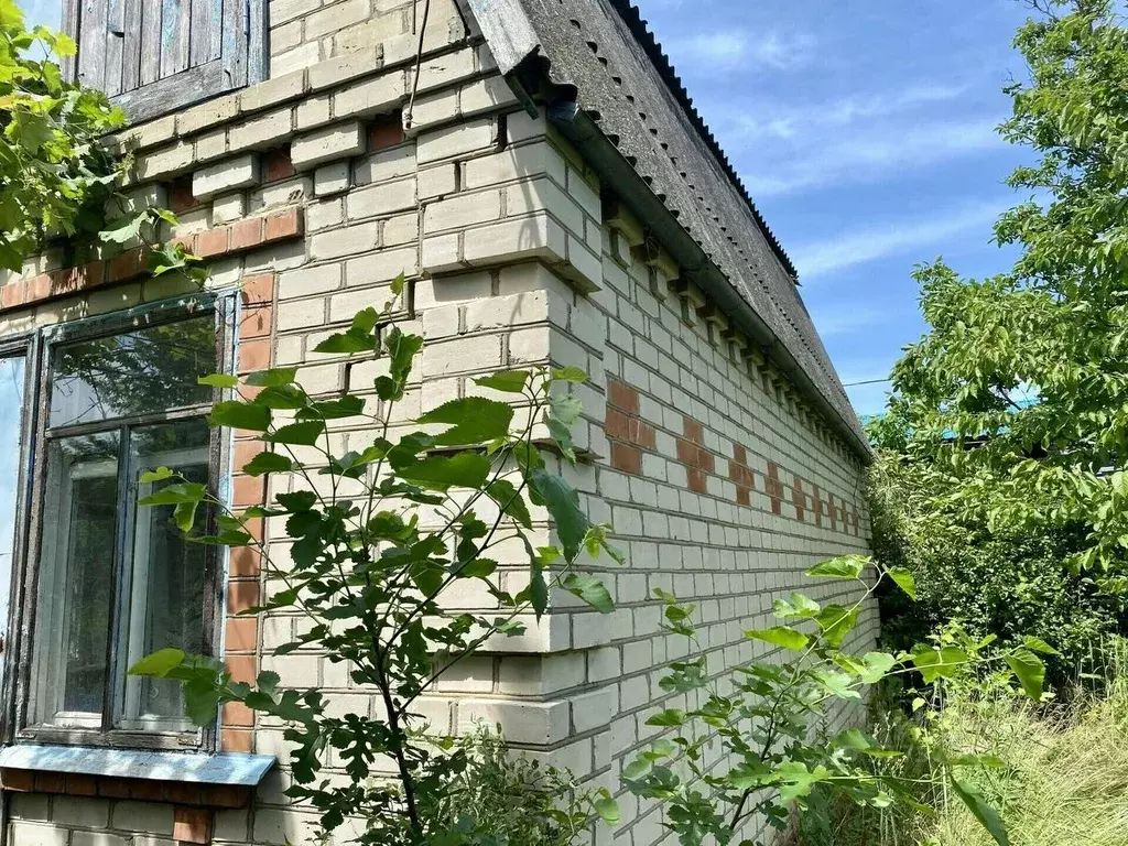 Дом в Воронежская область, Рамонский район, Айдаровское с/пос, ... - Фото 2