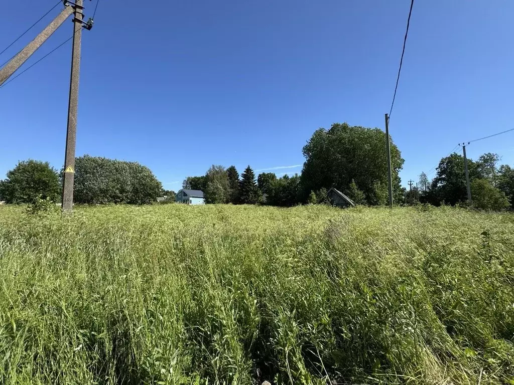Участок в Ленинградская область, Волосовский район, Клопицкое с/пос, ... - Фото 1