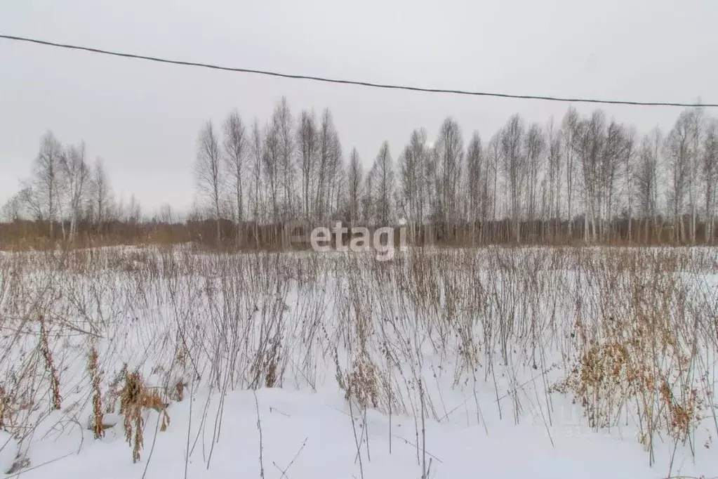 Участок в Тюменская область, Нижнетавдинский район, Сочинские СНТ 35-я ... - Фото 0