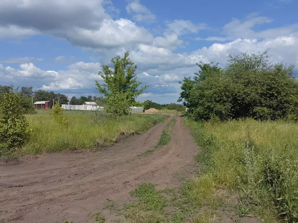 Участок в Белгородская область, Белгородский район, Разумное рп ул. ... - Фото 1