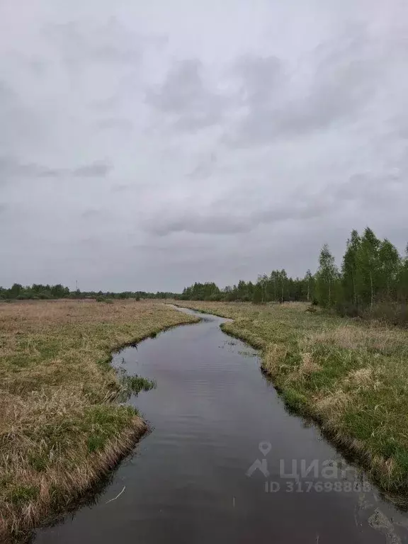 Участок, 9 сот., поселения (ижс) - Фото 0