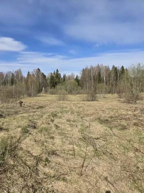 Участок, 6 сот., сельхоз (снт или днп) - Фото 2
