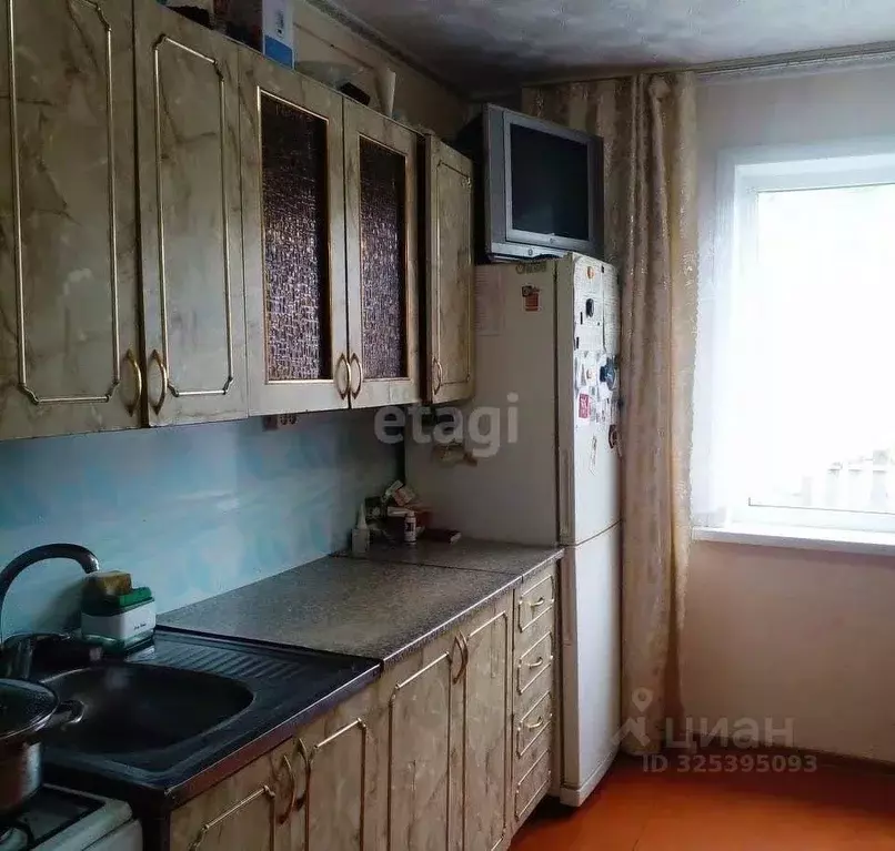 Дом в Алтай, Майминский район, пос. Алферово Центральная ул., 31А (60 ... - Фото 1