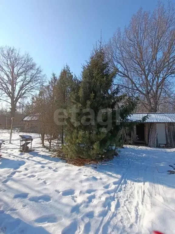 Дом в Псковская область, Гдовский район, Добручинская волость, д. ... - Фото 1