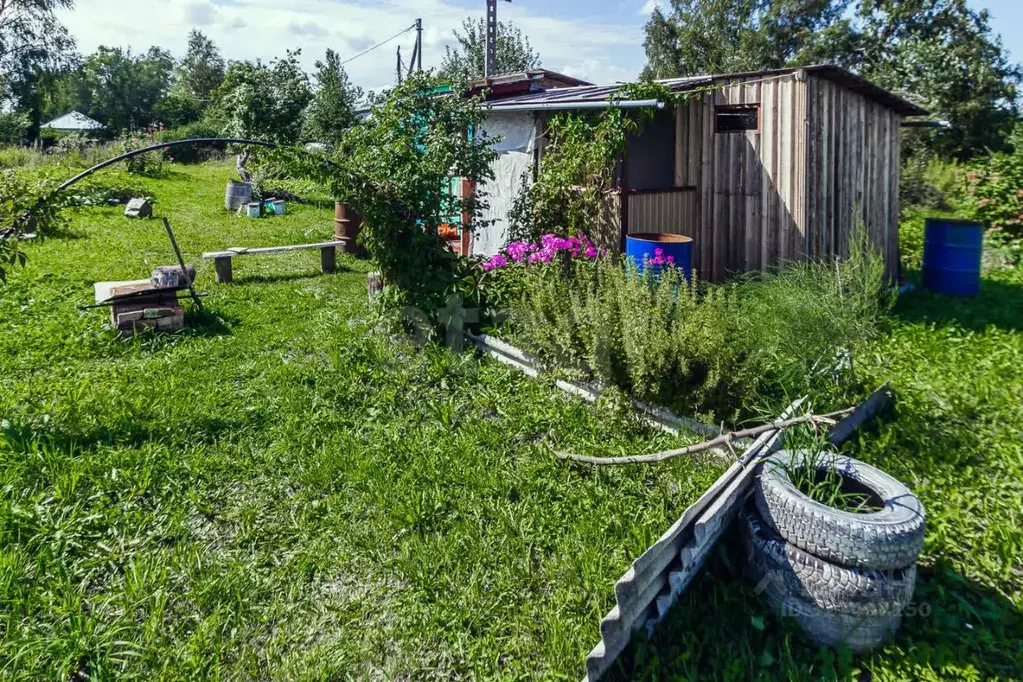 Дом в Вологодская область, д. Цыпоглазово  (12 м) - Фото 1