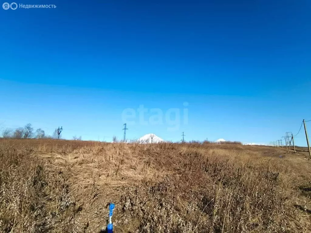 Участок в Камчатский край, Елизовский муниципальный округ, посёлок ... - Фото 2