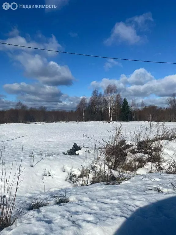 Участок в Вологодская область, Усть-Кубинский муниципальный округ, ... - Фото 0