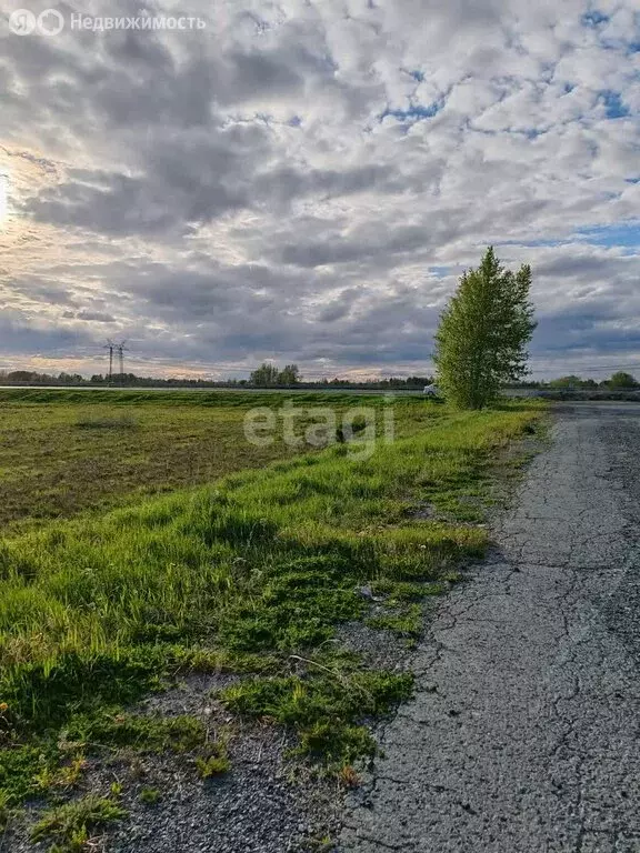 Участок в Ярковский район, село Дубровное (15 м) - Фото 0