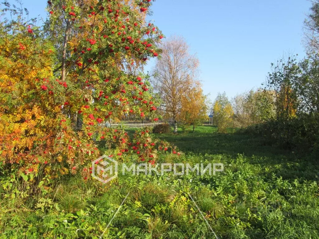 Участок в Архангельская область, Архангельск Бочага садовое ... - Фото 1