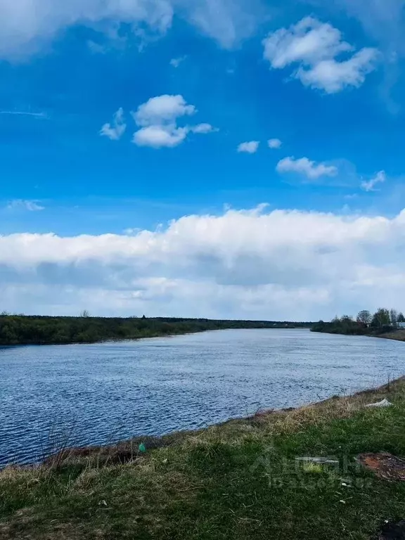 Участок в Вологодская область, Сокольский муниципальный округ, д. ... - Фото 0