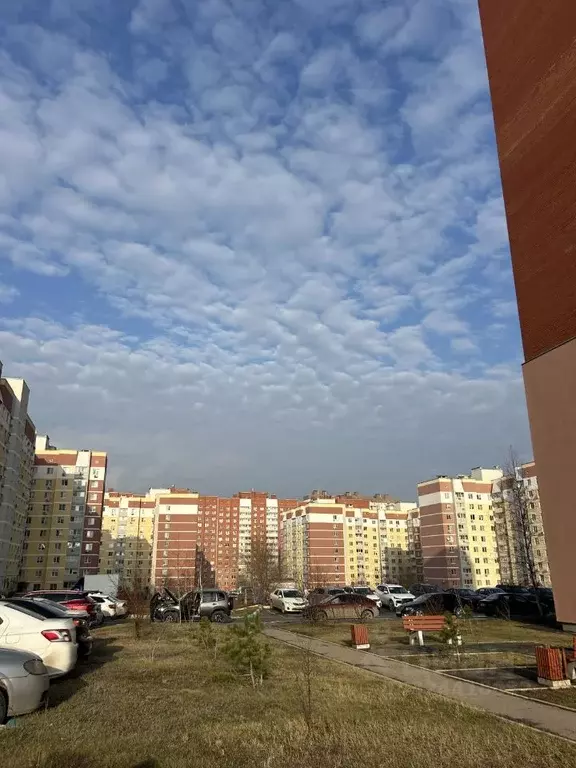 1-к кв. Саратовская область, Саратов ул. Имени С.П. Лисина, 1 (33.4 м) - Фото 2