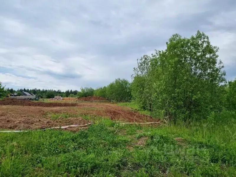 Участок в Пермский край, пос. Протасы, 7-й кв-л  (8.21 сот.) - Фото 1